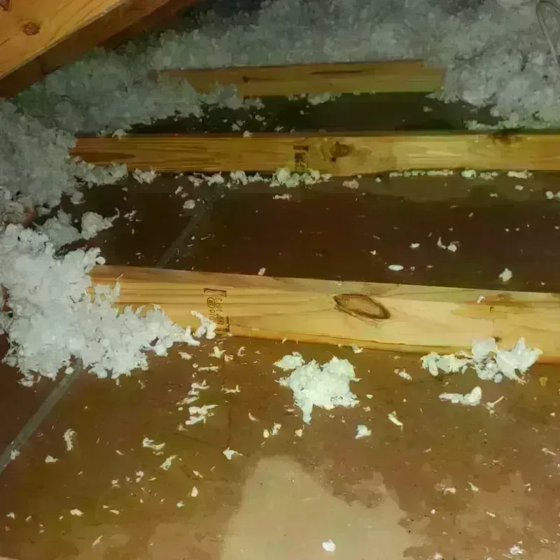 Attic Water Damage in Ixonia, WI